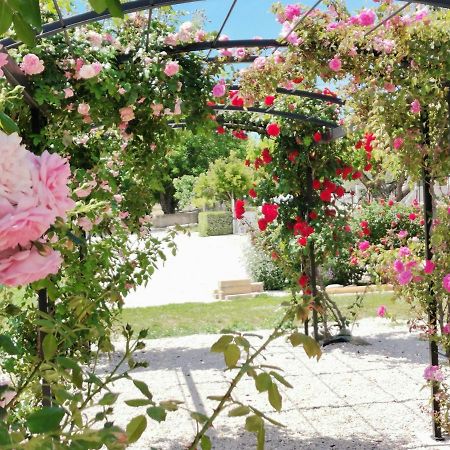 Gite En Provence Lavande Modene Dış mekan fotoğraf