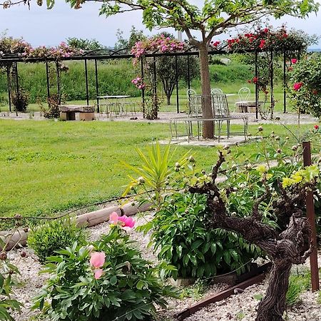 Gite En Provence Lavande Modene Dış mekan fotoğraf