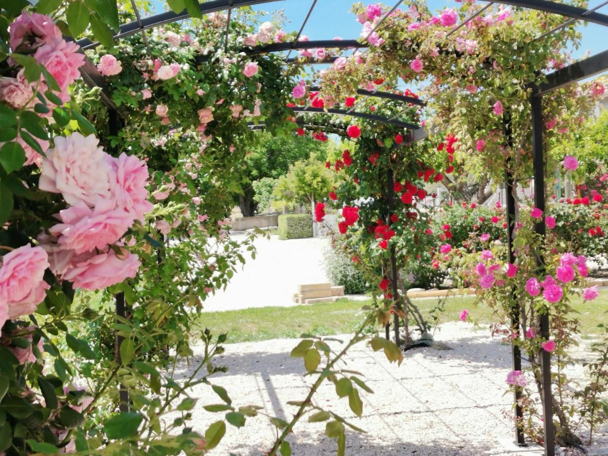 Gite En Provence Lavande Modene Dış mekan fotoğraf