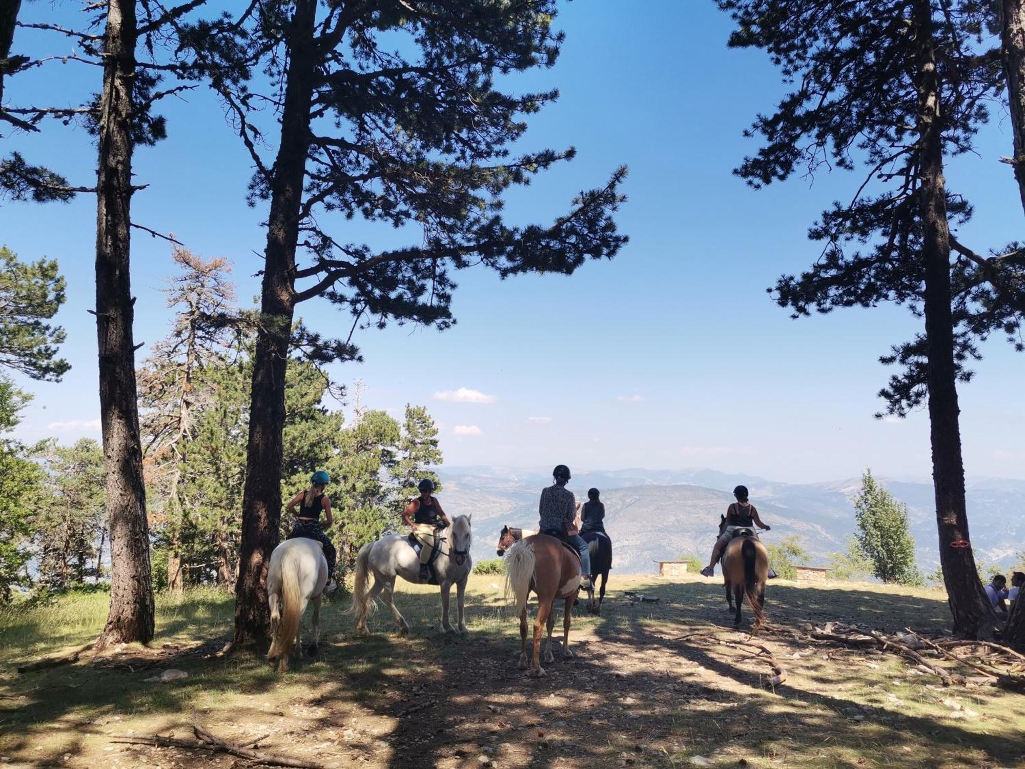 Gite En Provence Lavande Modene Dış mekan fotoğraf