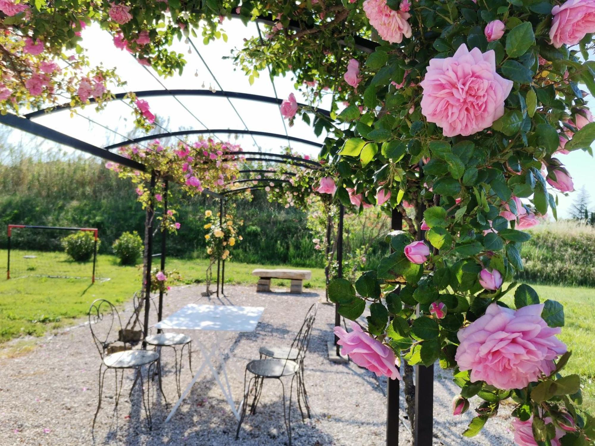 Gite En Provence Lavande Modene Dış mekan fotoğraf