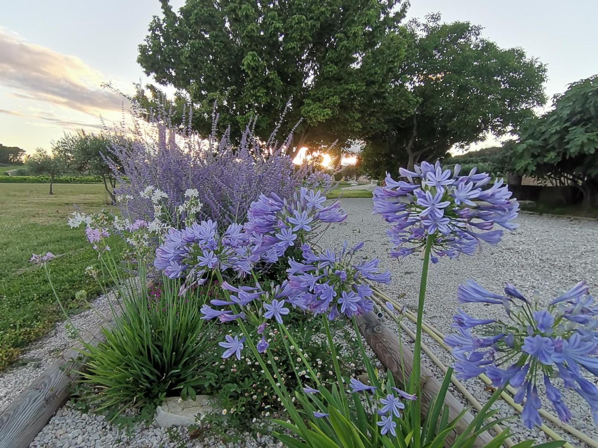 Gite En Provence Lavande Modene Dış mekan fotoğraf